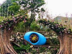 -深圳仙湖植物园