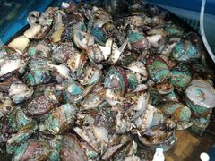 -港畔赶海蒸汽海鲜烧烤自助(仙螺岛店)