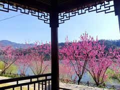 -新安江山水画廊风景区