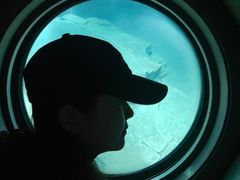 -白鹤梁水下博物馆