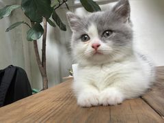 -拾壹cafe·工作室