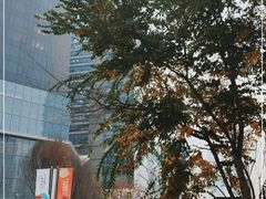 -合景·悠方(成都店)
