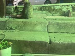 -鱼乐岛餐厅·户外花园主题餐厅