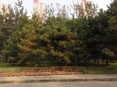 -兴芮温泉度假区