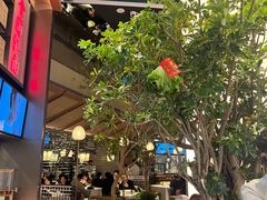 -桂满陇·海市蜃楼·黑金(国金店)