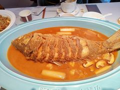 -阿五黄河大鲤鱼(英协路店)