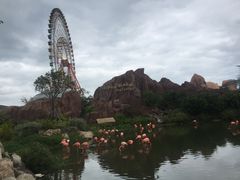 -芽庄珍珠岛游乐园
