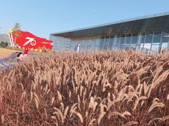 -光明小镇欢乐田园