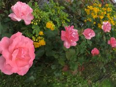 -云南滇池花园国际大酒店温泉