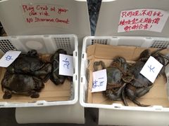 黑胡椒螃蟹-龙海鲜螃蟹王(宏茂桥店)