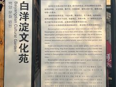 -白洋淀景区
