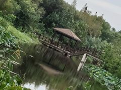 -同里国家湿地公园