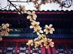 -大钟寺古钟博物馆