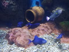 -多彩贵州城极地海洋世界