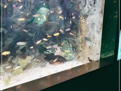 -常州海昌海洋探索馆