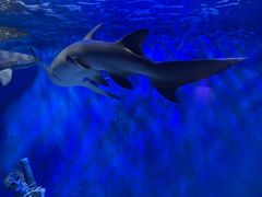 -太平洋海底世界