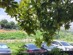 -耕渔小院·湖南鱼鲜(望城店)