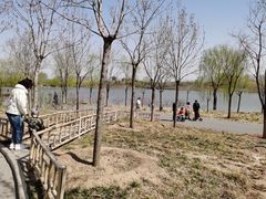 -东郊湿地公园