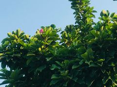 -北京工商大学(良乡校区)