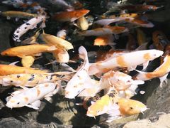 -海合安青岛极地海洋公园