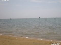 -碧海金沙
