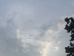 -将太无二·北美传奇寿司(瑞士公寓店)