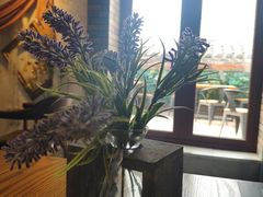 -IFIF 如果花園(宽厚里店)