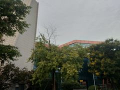 -国际非物质文化遗产博览园