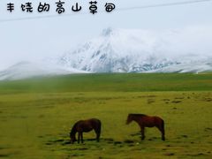 -大冬树山垭口