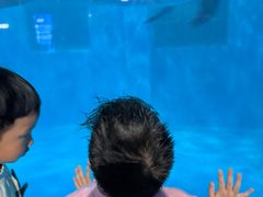-福州罗源湾海洋世界旅游区