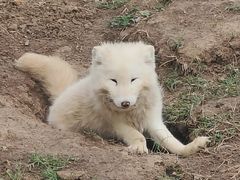 -祥源·阜阳生态乐园