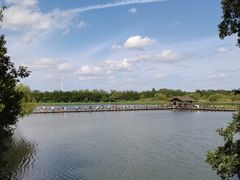 -溱湖国家湿地公园