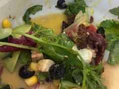 -百好乐宠物友好餐厅(朝外大街店)