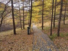 -苏木山森林公园