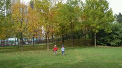 点击看大图 -大望京儿童游乐场