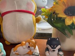 -柴犬高等学院·狗咖·柴犬售卖·宠物训练