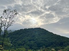 -梧桐山风景名胜区