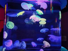 -太平洋海底世界