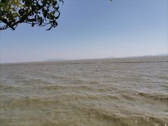 -贡湖湾湿地公园