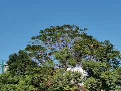 -银泰百货(厦门国贸中心店)
