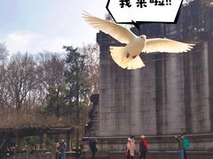 -音乐台
