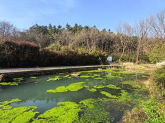 -句容茅山景区