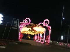 -重庆市江北嘴中央商务区中央公园