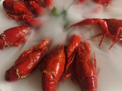 冰镇小龙虾-沪小胖小龙虾(淮海中路旗舰店)