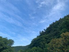 -桃花岭景区