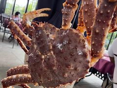 -鱼乐轩海鲜专门店