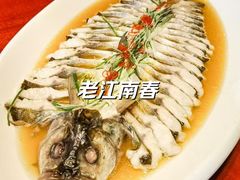 -老江南春·中国龙菜(衡山路店)