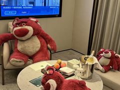 -南京THE TAI太和紫金大酒店