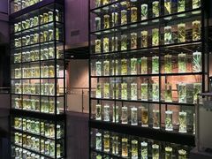 -广东中医药博物馆