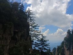 -老君山风景名胜区